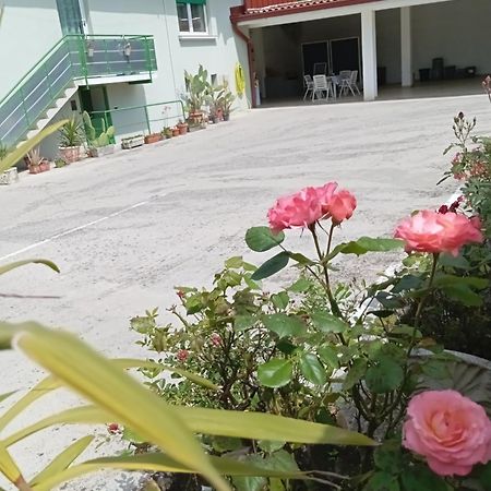 Gorizia Vacanze Appartamento In Villa Con Parcheggio Buitenkant foto
