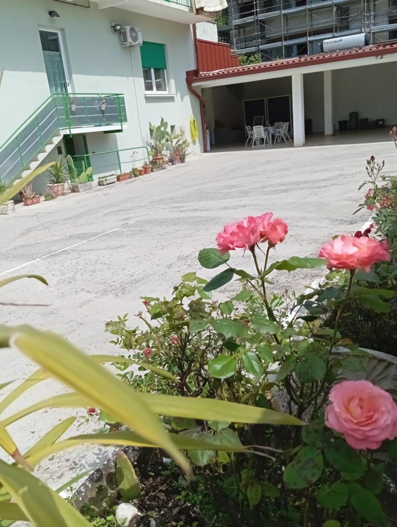 Gorizia Vacanze Appartamento In Villa Con Parcheggio Buitenkant foto